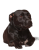 cbd.png