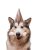 do-gryzienia-1.png