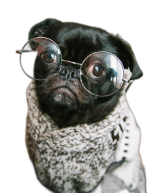 nasze-porady.png