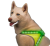 odblaski.png