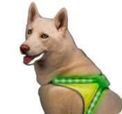 odblaski.png
