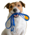 smycze.png